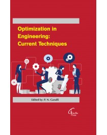 Optimization  in Engineering: Current Techniques