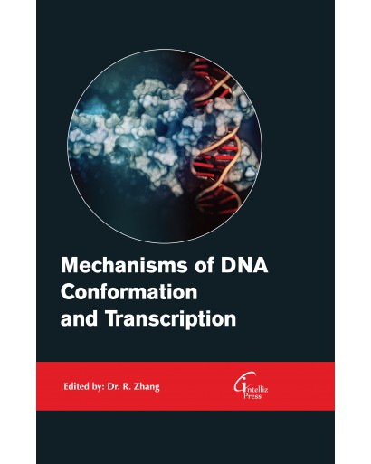Mechanisms of DNA Conformation and Transcription